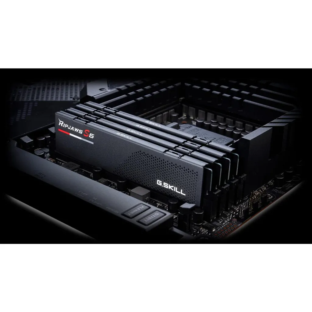 G.SKILL Ripjaws S5 16GB (1x16GB) 5200MHz DDR5 CL40 Single Memory Desktop Gaming RAM F5-5200J4040A16GX1-RS5K